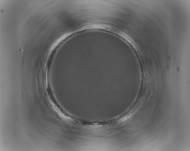 X0000062141127200512091208