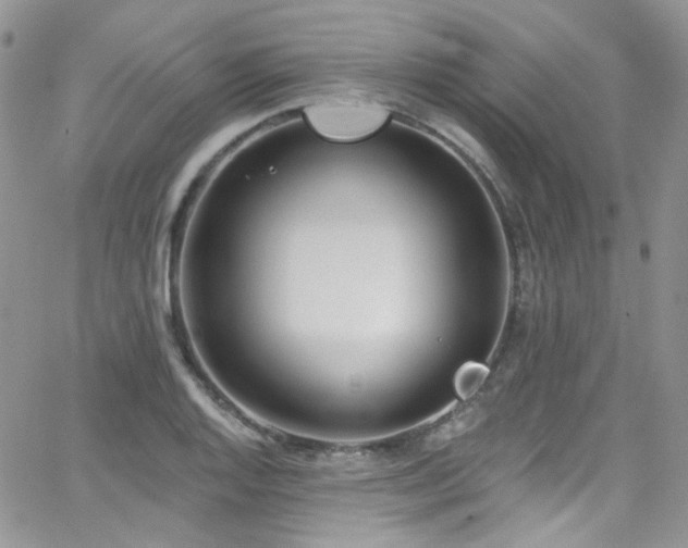 X0000062141128200512091208