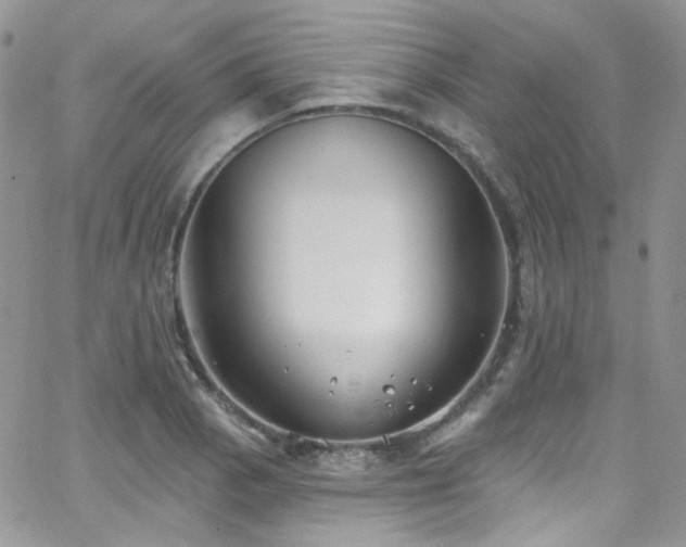 X0000062141129200512091208