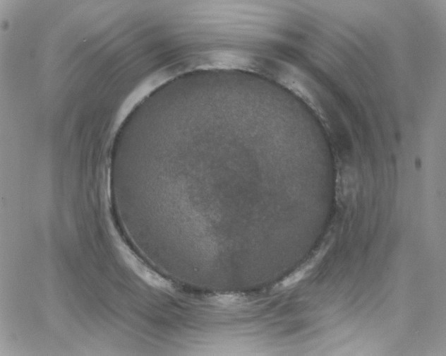 X0000062141130200512091208