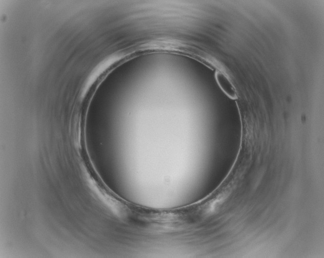 X0000062141131200512091208