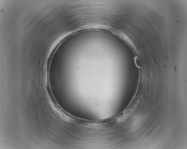 X0000062141132200512091208