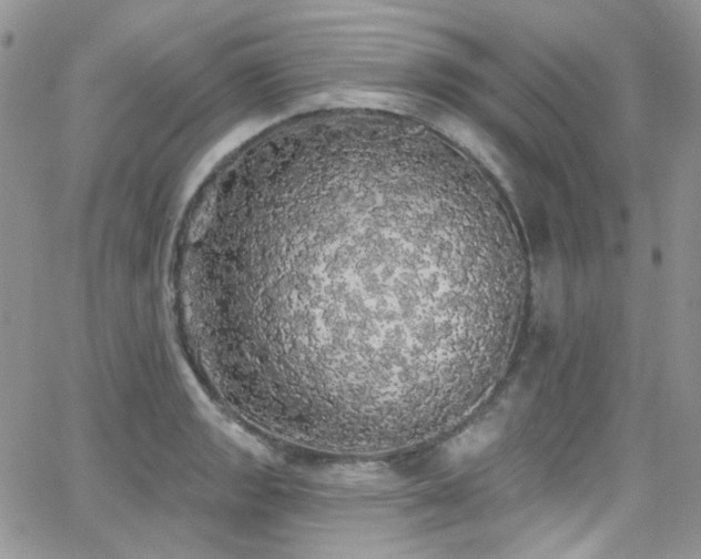 X0000062141133200512091208