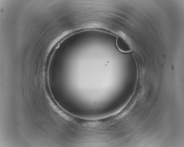 X0000062141134200512091208