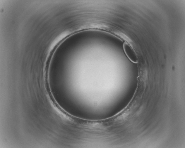 X0000062141135200512091208