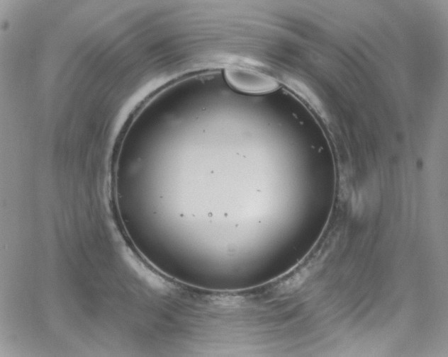 X0000062141136200512091208