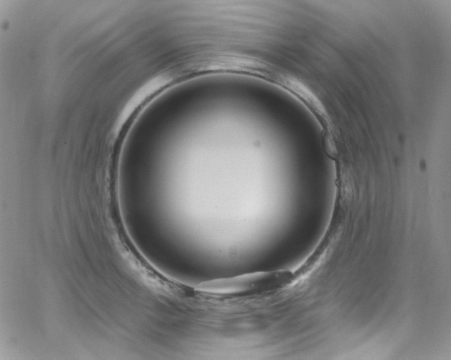 X0000062141138200512091208