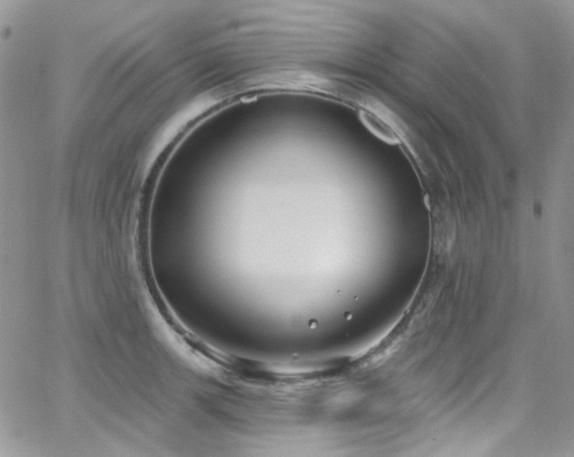 X0000062141139200512091208