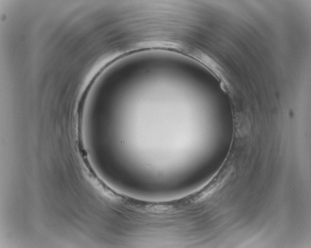 X0000062141140200512091208