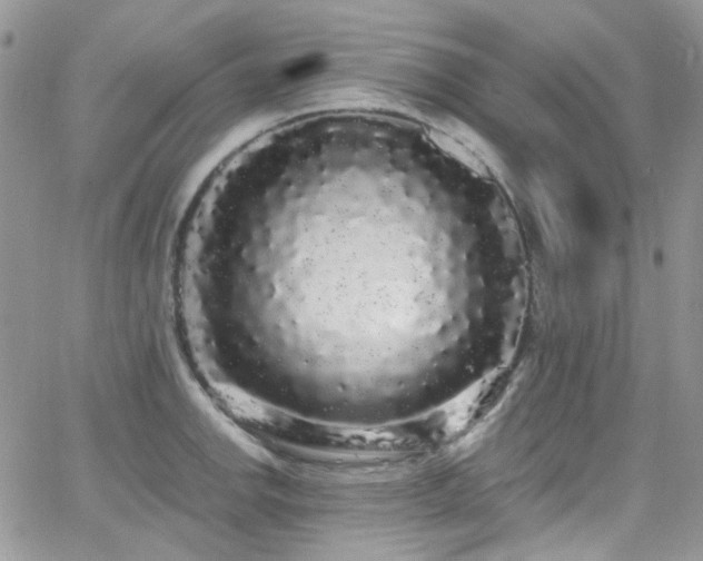 X0000062141142200512091208