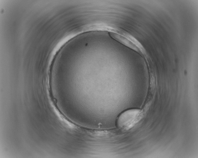 X0000062141144200512091208