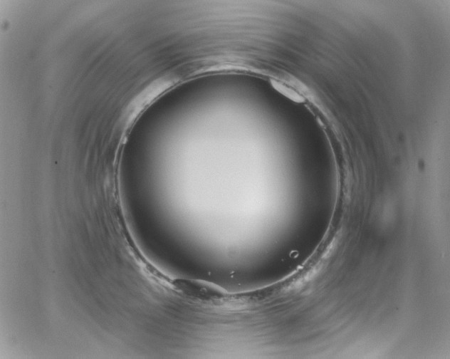 X0000062141145200512091208