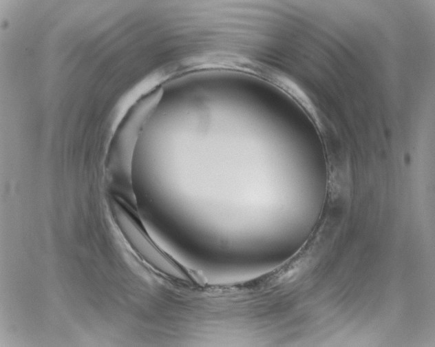 X0000062141146200512091208