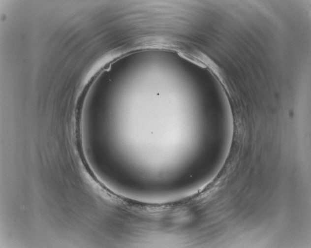 X0000062141147200512091208