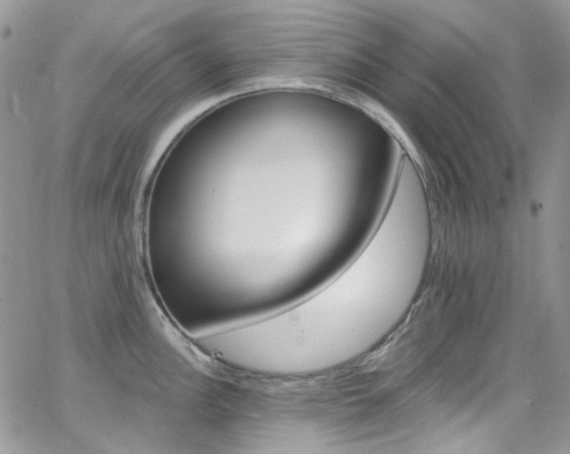 X0000062141148200512091208