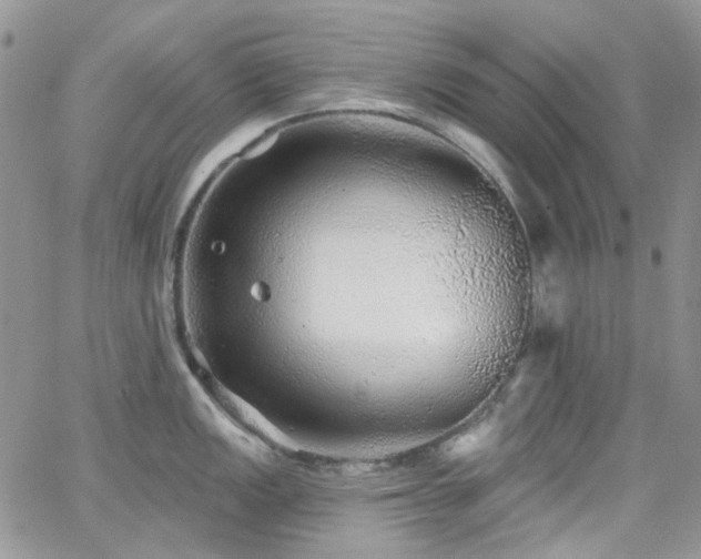 X0000062141149200512091209