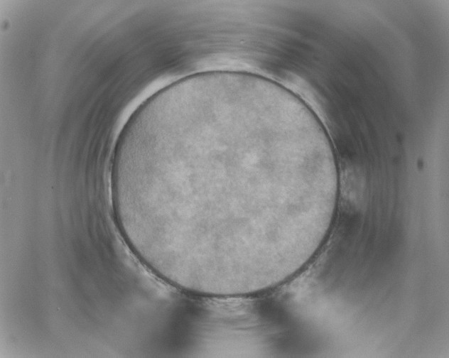 X0000062141150200512091209