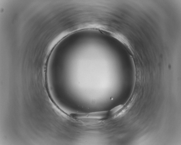 X0000062141151200512091209