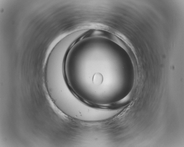 X0000062141152200512091209