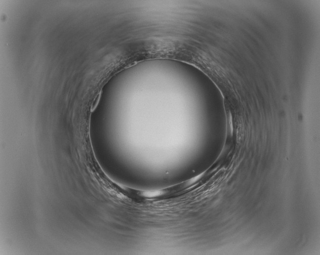 X0000062141153200512091208