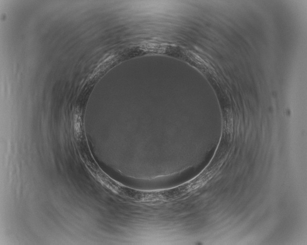 X0000062141154200512091208