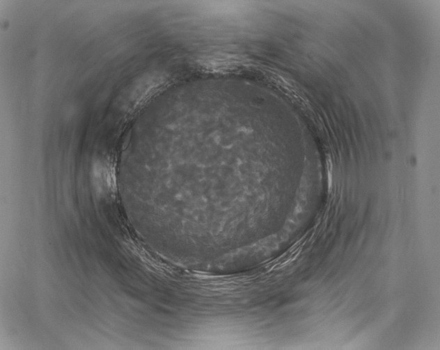 X0000062141155200512091208