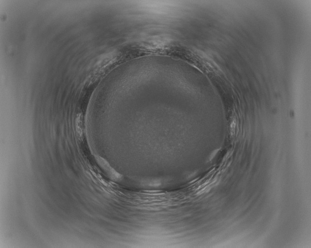 X0000062141156200512091208