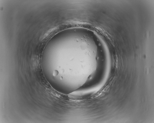 X0000062141157200512091208