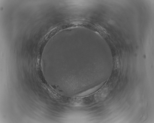 X0000062141158200512091208