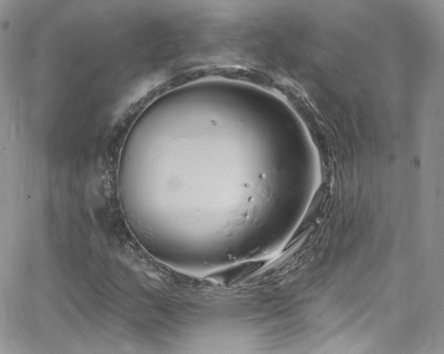 X0000062141159200512091208