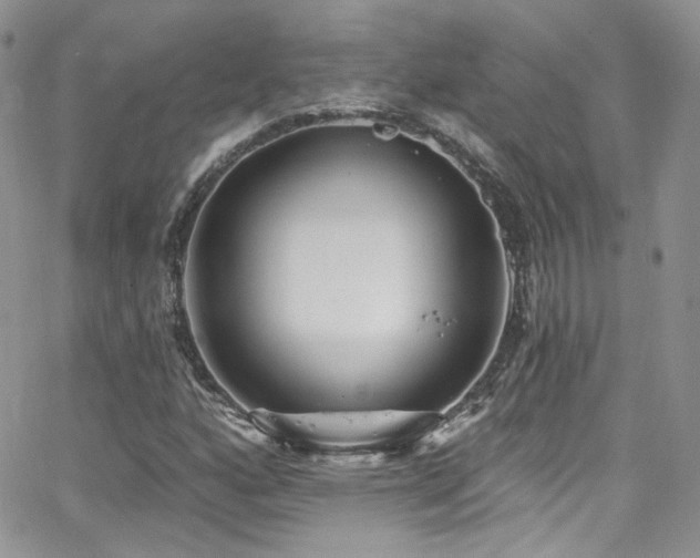 X0000062141160200512091208