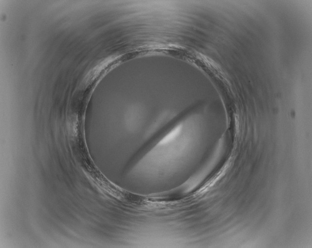 X0000062141161200512091208