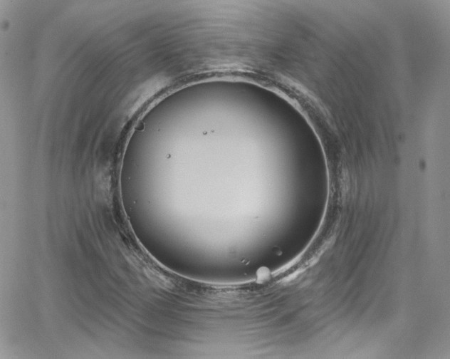 X0000062141162200512091208