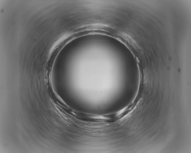 X0000062141164200512091208