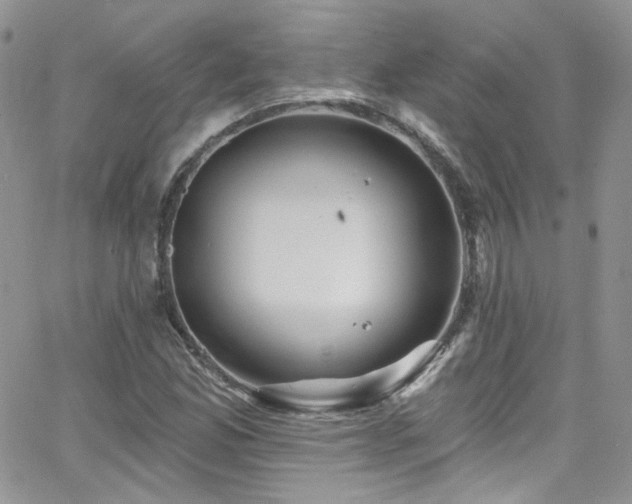 X0000062141165200512091208