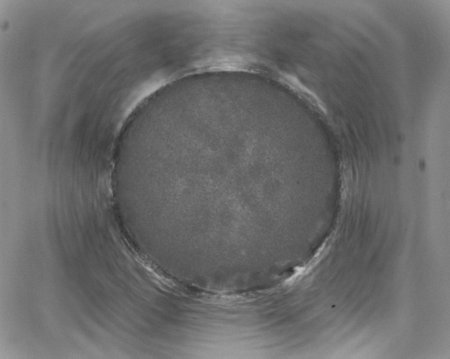 X0000062141166200512091208