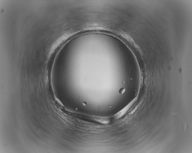 X0000062141167200512091208