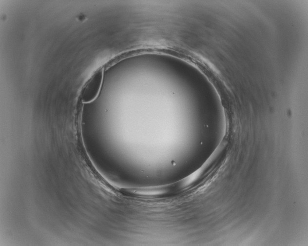 X0000062141168200512091208