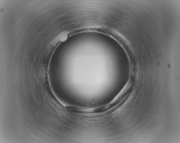 X0000062141169200512091207