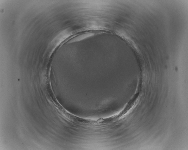 X0000062141170200512091207