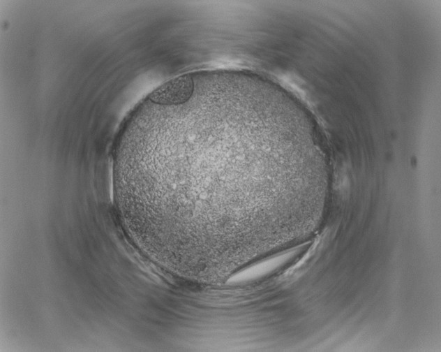 X0000062141171200512091207