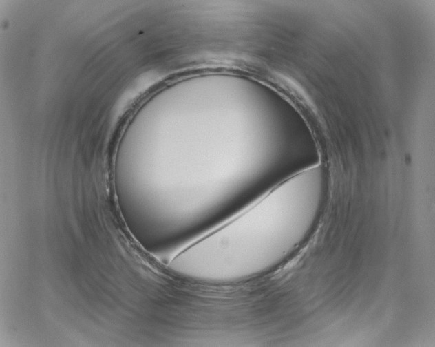 X0000062141172200512091207