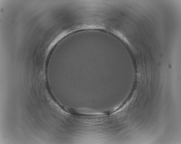 X0000062141173200512091207