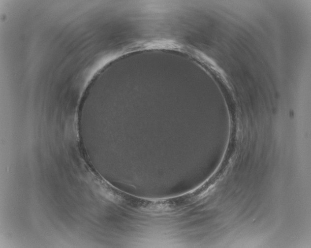 X0000062141174200512091207