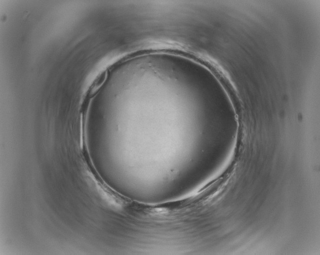 X0000062141175200512091207