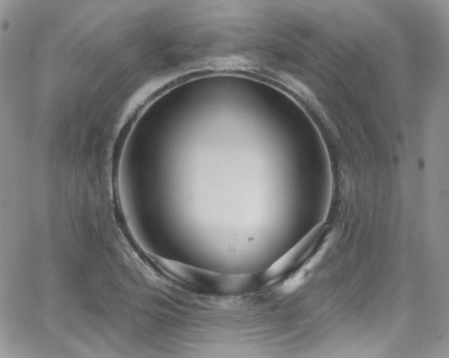 X0000062141176200512091207