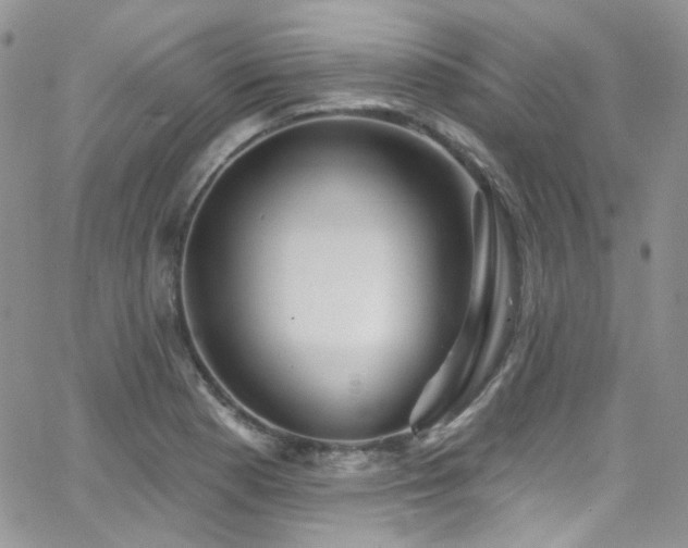 X0000062141177200512091207