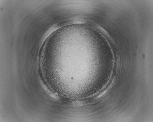 X0000062141178200512091207