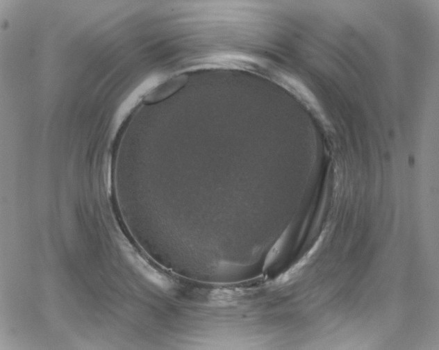 X0000062141180200512091207