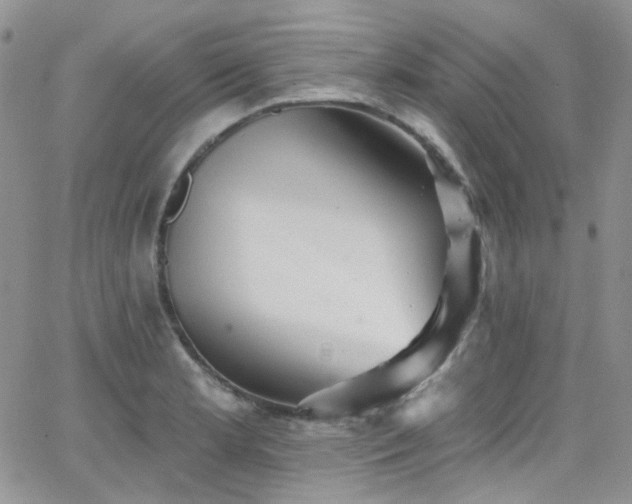 X0000062141181200512091207